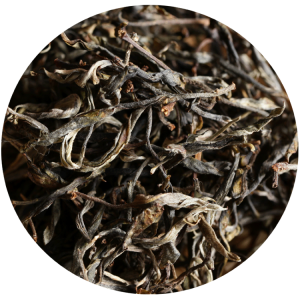 云茶国际现货交易中心：政策红利下的投资机遇