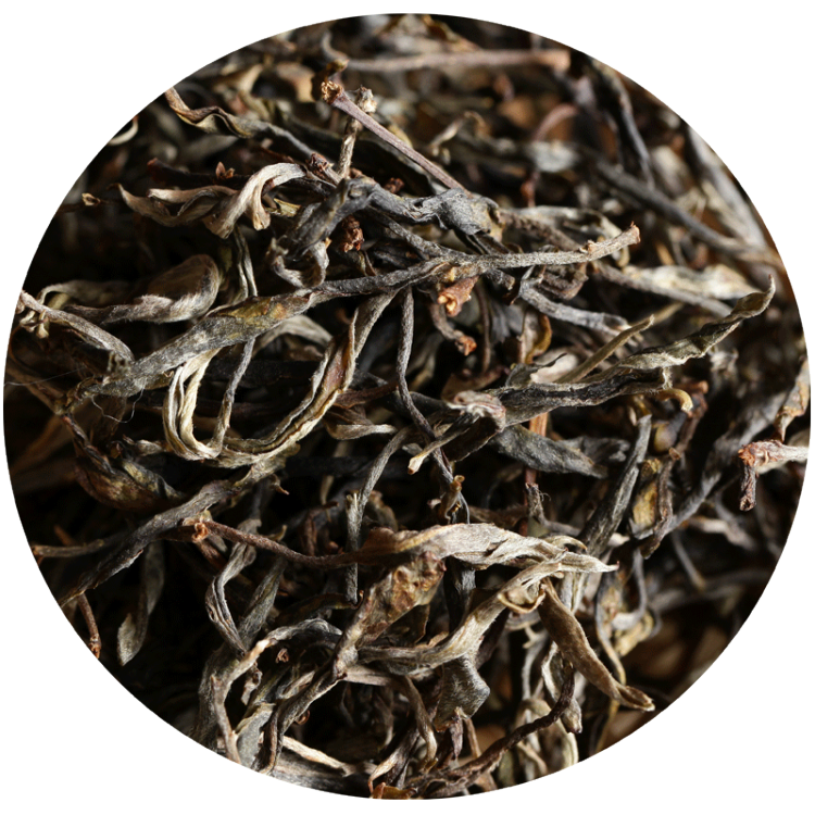 贵茶茗汇现货交易中心：政策红利下的投资机遇